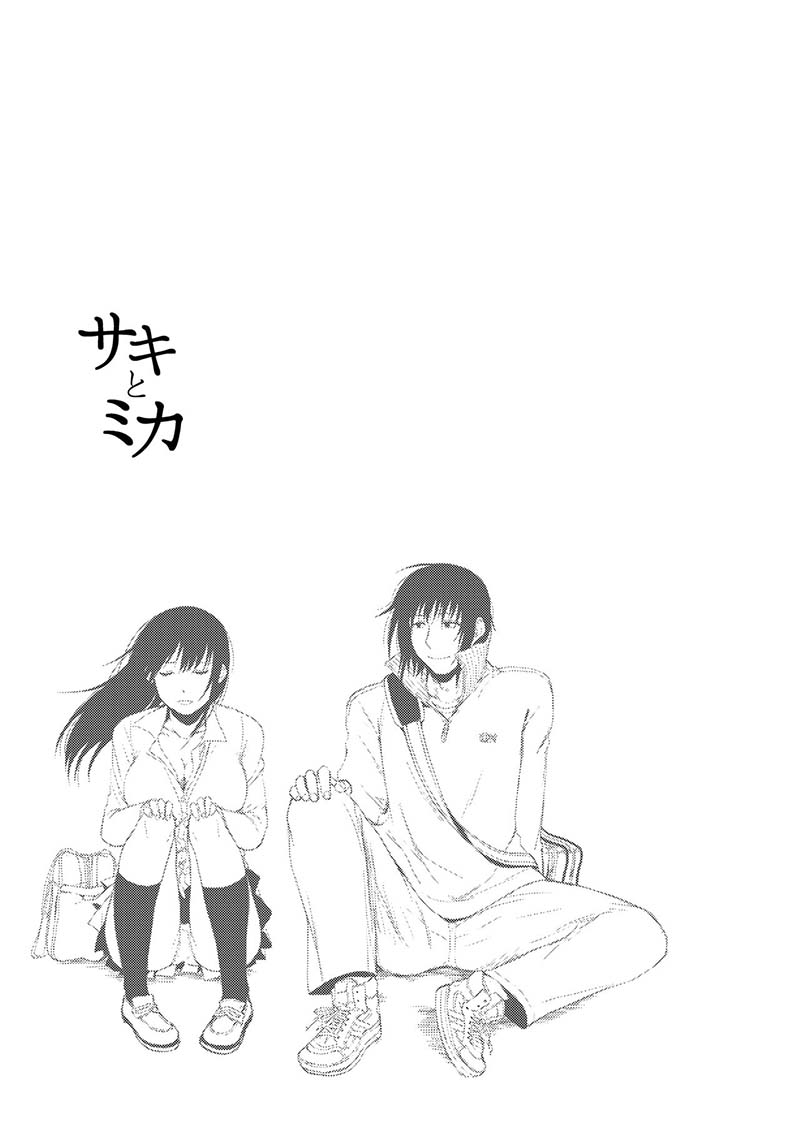 ซากิและมิกะ 3